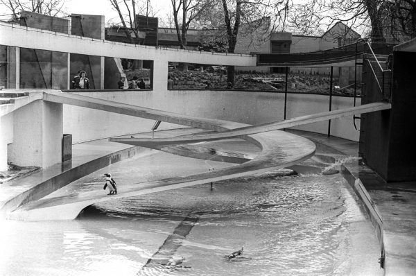 spiral ramp penguin pool
