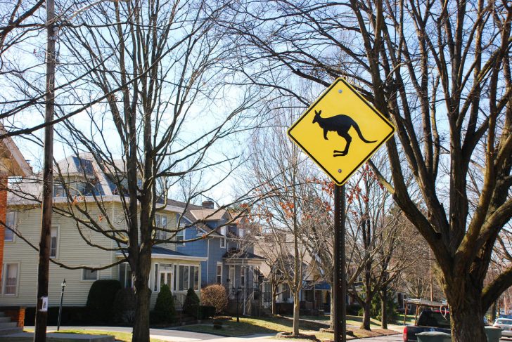 aus Kangaroo Note 輸入盤CDr 【95枚限定】 Courting Marsupials: Columbus Residents Want 