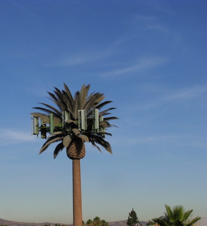 botanical-imperative-why-cellular-network-towers-get-disguised-as